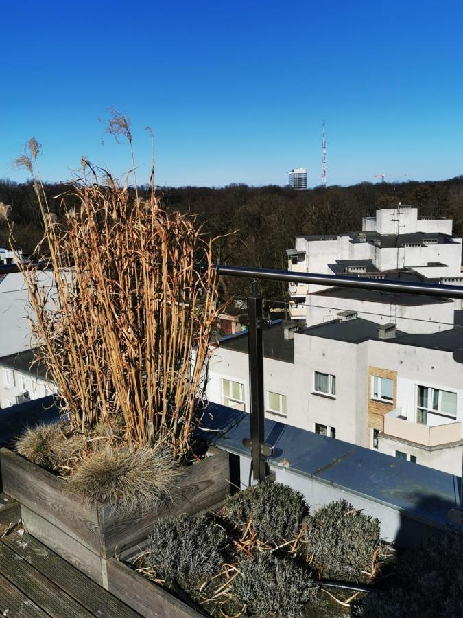 Apartment Paula سفينويتشي المظهر الخارجي الصورة