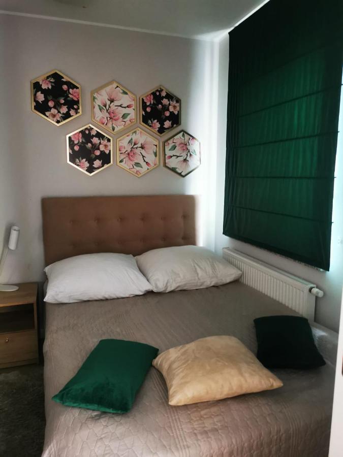 Apartment Paula سفينويتشي المظهر الخارجي الصورة